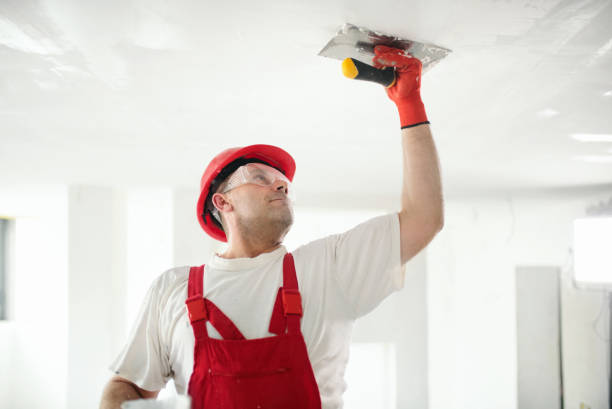 Best Wallpaper Removal and Painting  in Paramount, CA